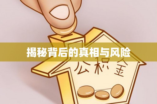 班玛揭秘背后的真相与风险