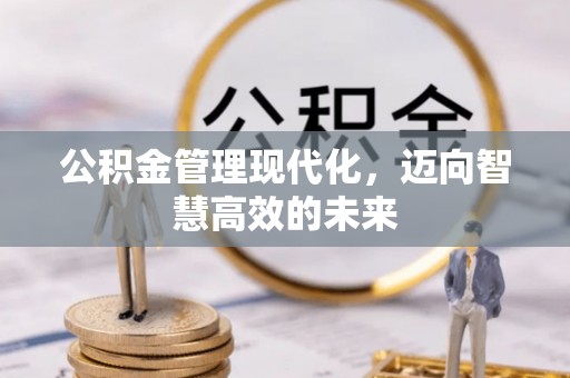 班玛公积金管理现代化，迈向智慧高效的未来